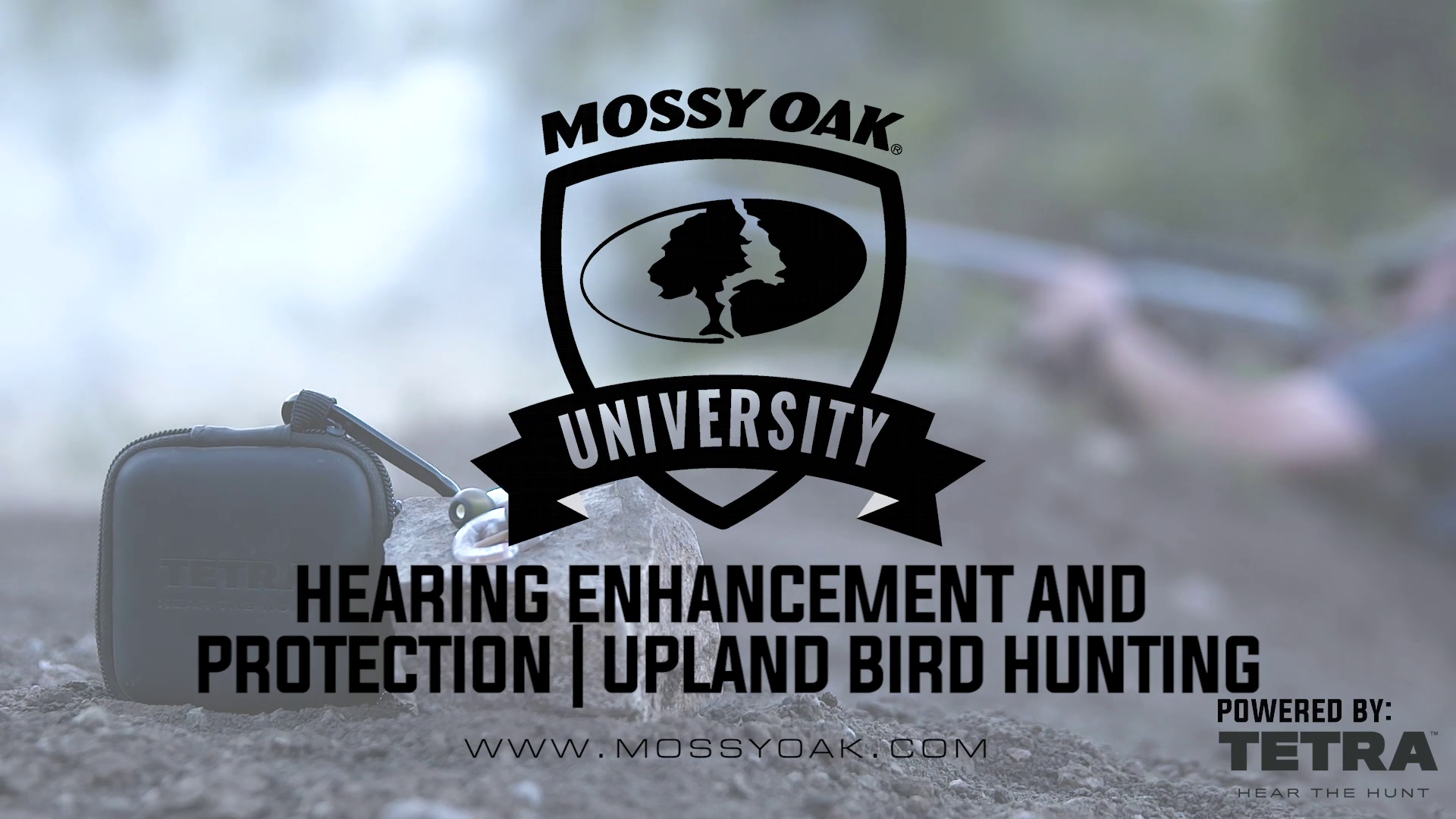 Tetra Hearing Enhancement and Protection for Upland Bird Hunting
