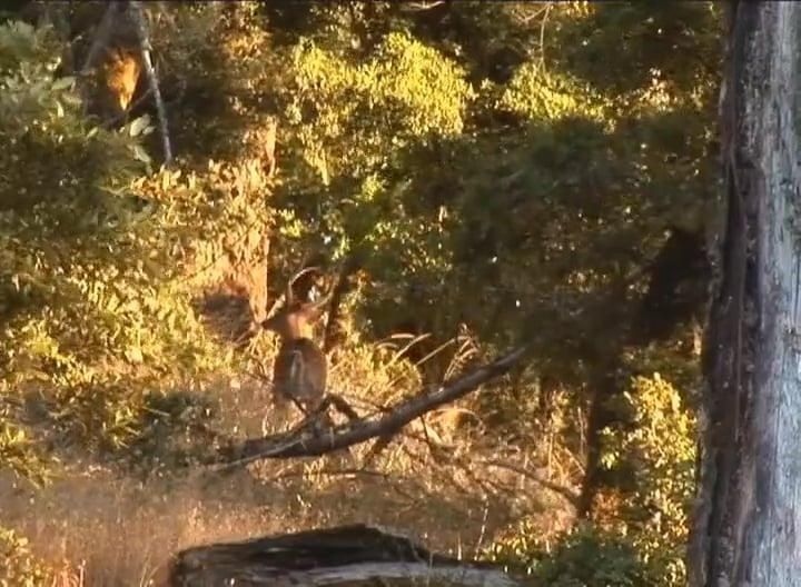 Didn't Know What I Had • Blacktail Bucks in California