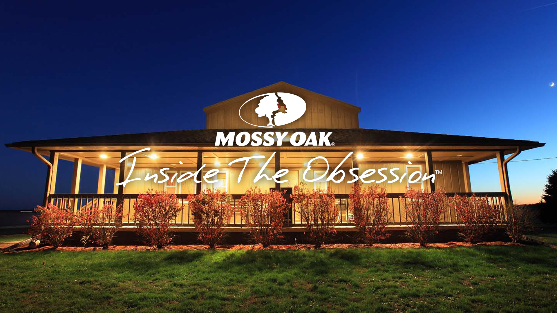 Inside the Obsession