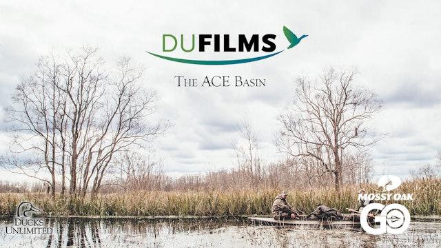 The ACE Basin • DU Films