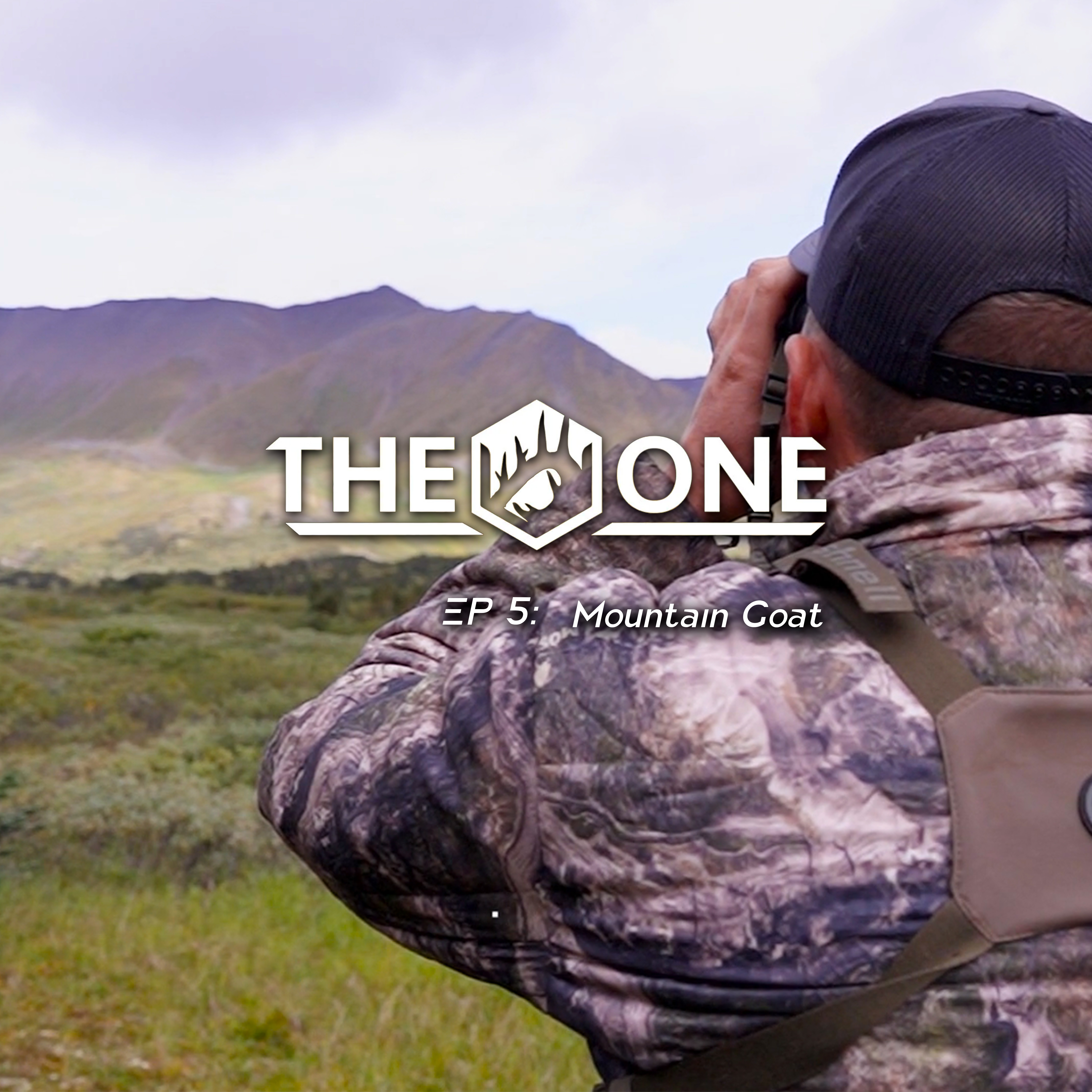Mountain Goat • The One