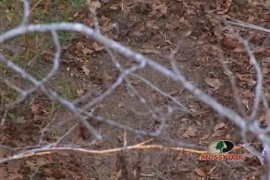 The First Shots • Part 1 • Camo Cameras Video Themselves Hunting