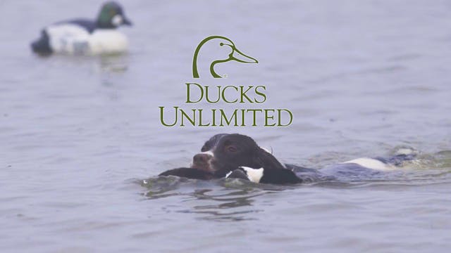 Butte Sink Bonanza • DU TV