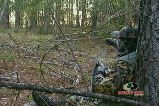 Opening Day Turkeys • Gobblers on the...