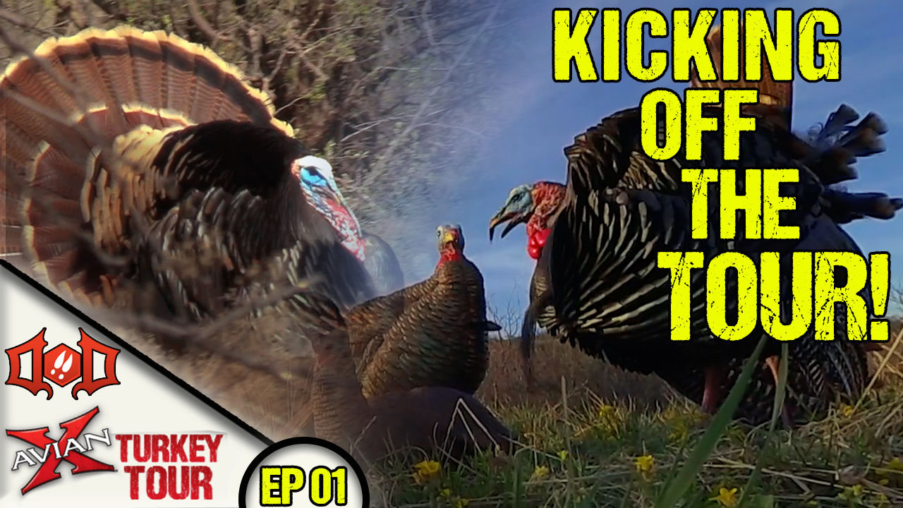 Mark Drury Reels a Turkey into 8 STEPS! • Avian X Turkey Tour