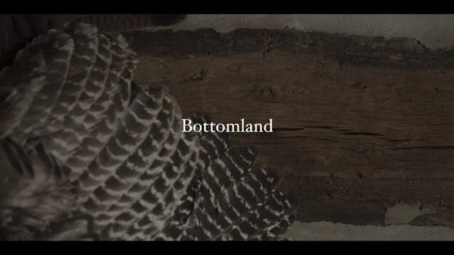 Bottomland • The Fabric of a Brand • ...