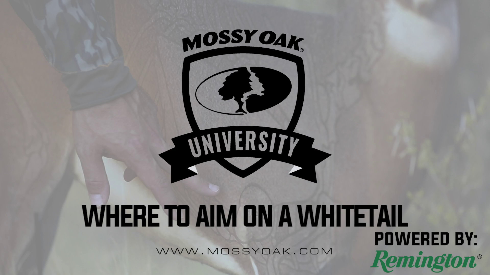 Where to Aim • Mossy Oak University