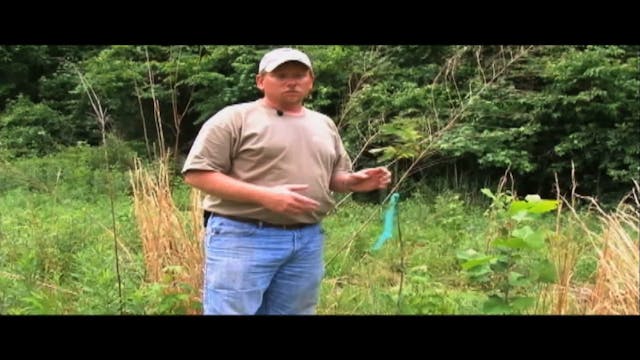 Next of Ken • Planting Trees for Prop...