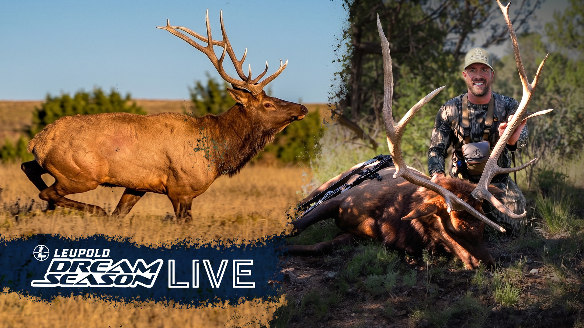 An Archery Adventure: Wade's New Mexico Monarch | Dream Season Live