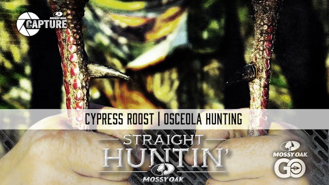 Cypress Roost • Straight Huntin'