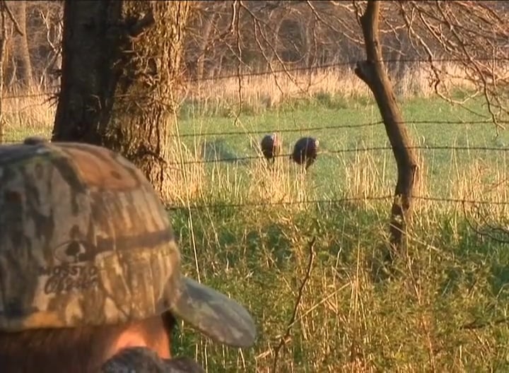 Never Let Up • Turkeys in Oklahoma