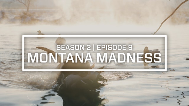 Last Pass Episode 9 • Montana Madness