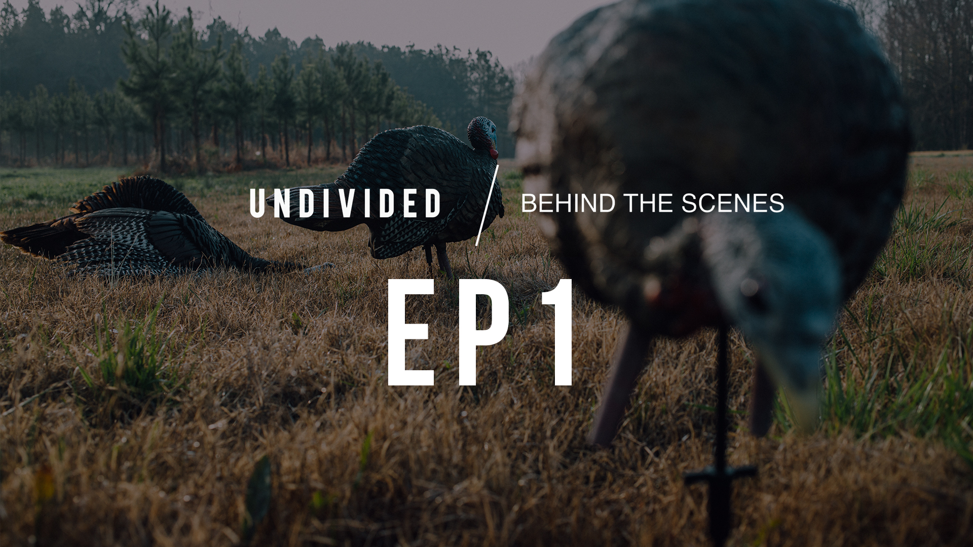Episode 1 • Miss • Undivided Behind the Scenes