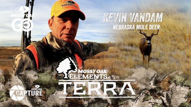 Kevin VanDam • Nebraska Mule Deer • Terra