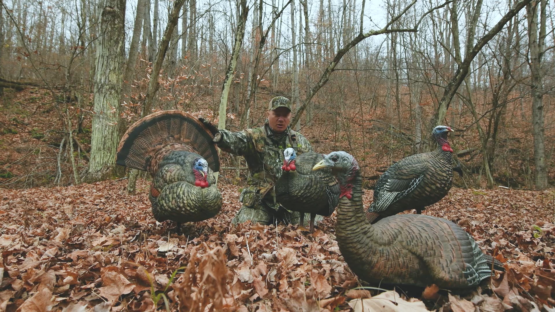 Upstate Thunder • Avian X