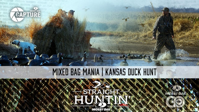 Mixed Bag MANIA • Kansas Duck Hunt • Straight Huntin'