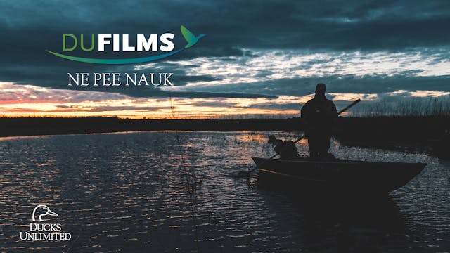 Ne Pee Nauk • DU Films