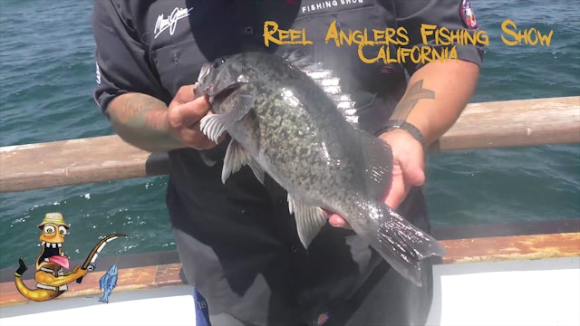 Average James 2 • Reel Anglers Fishing Show California