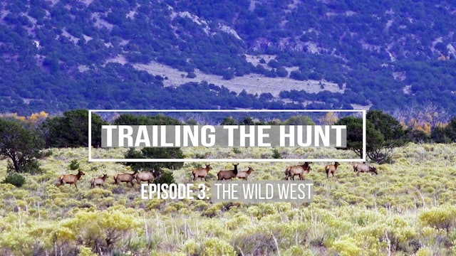 Trailing the Hunt Ep 3 • The Wild West