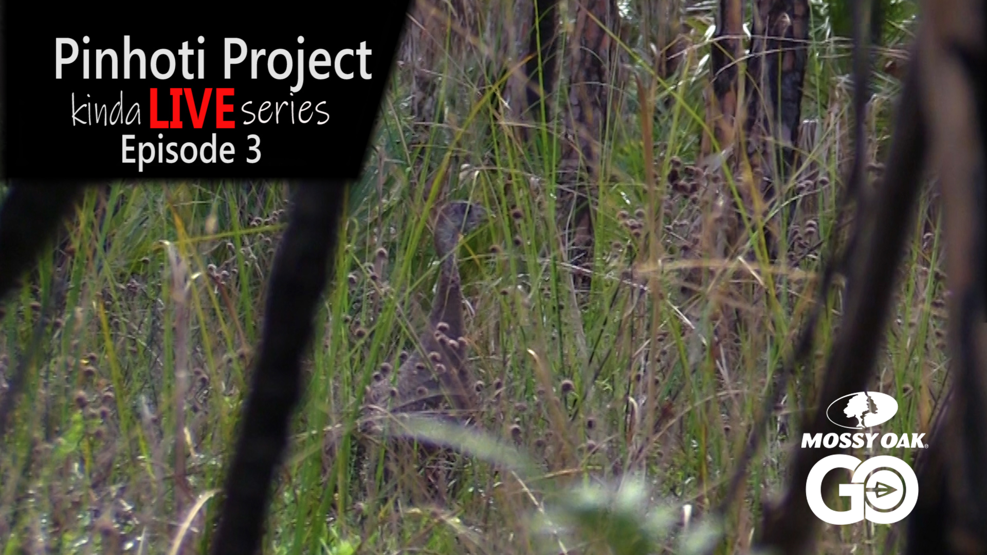 Kinda Live - Episode 3 • Pinhoti Project