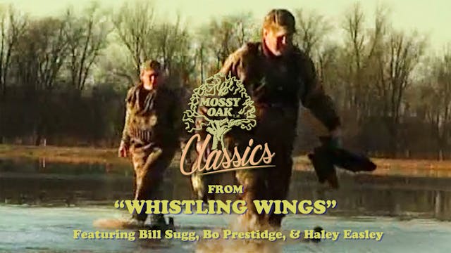 From Whistling Wings w/ Bill, Bo, and...