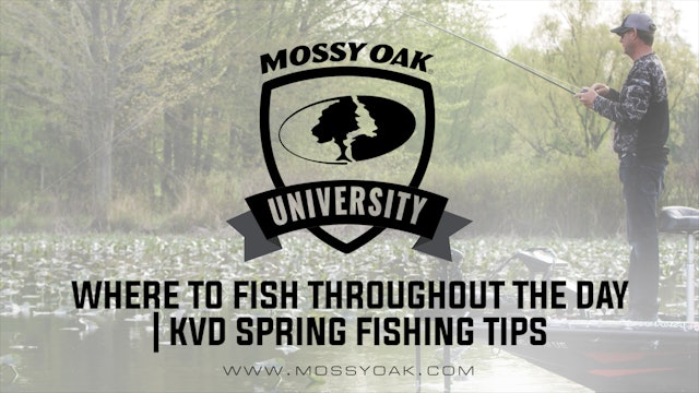 Where to Fish Throughout the Day • KVD Spring Fishing Tips
