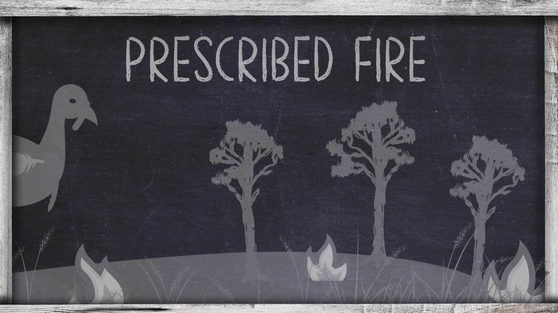 OnX Turkey Academy • Lesson 8 | Prescribed Fire