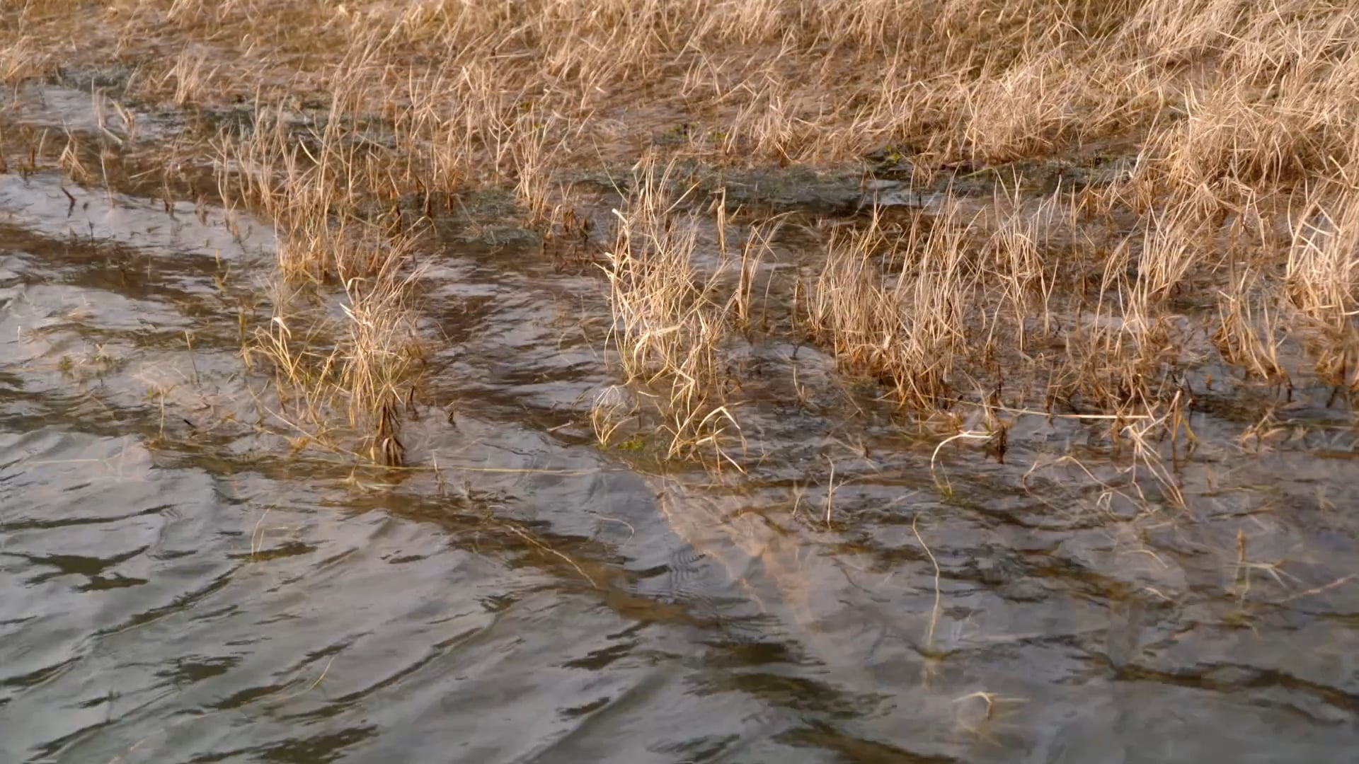 East Texas Bassin • Fisherman's Handbook
