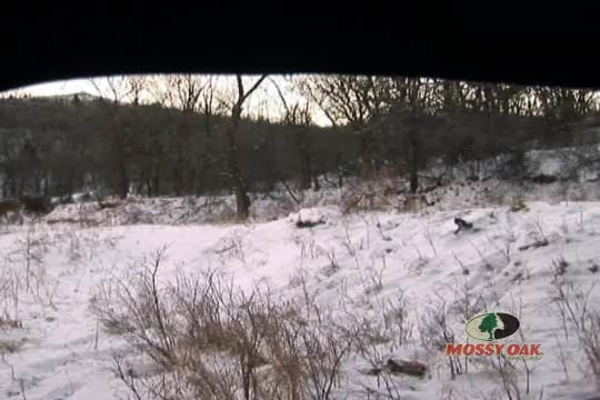 Platter Up • Frigid Temperatures Make for Good Hunts