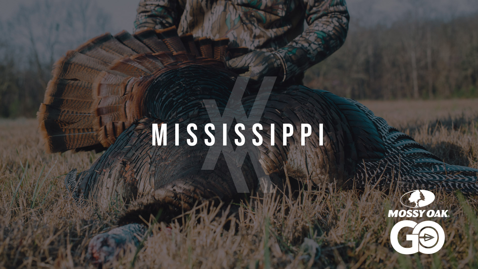 Mississippi • Undivided
