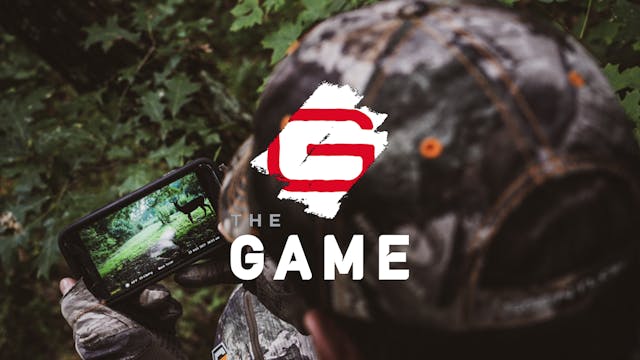 TN • The Game TV