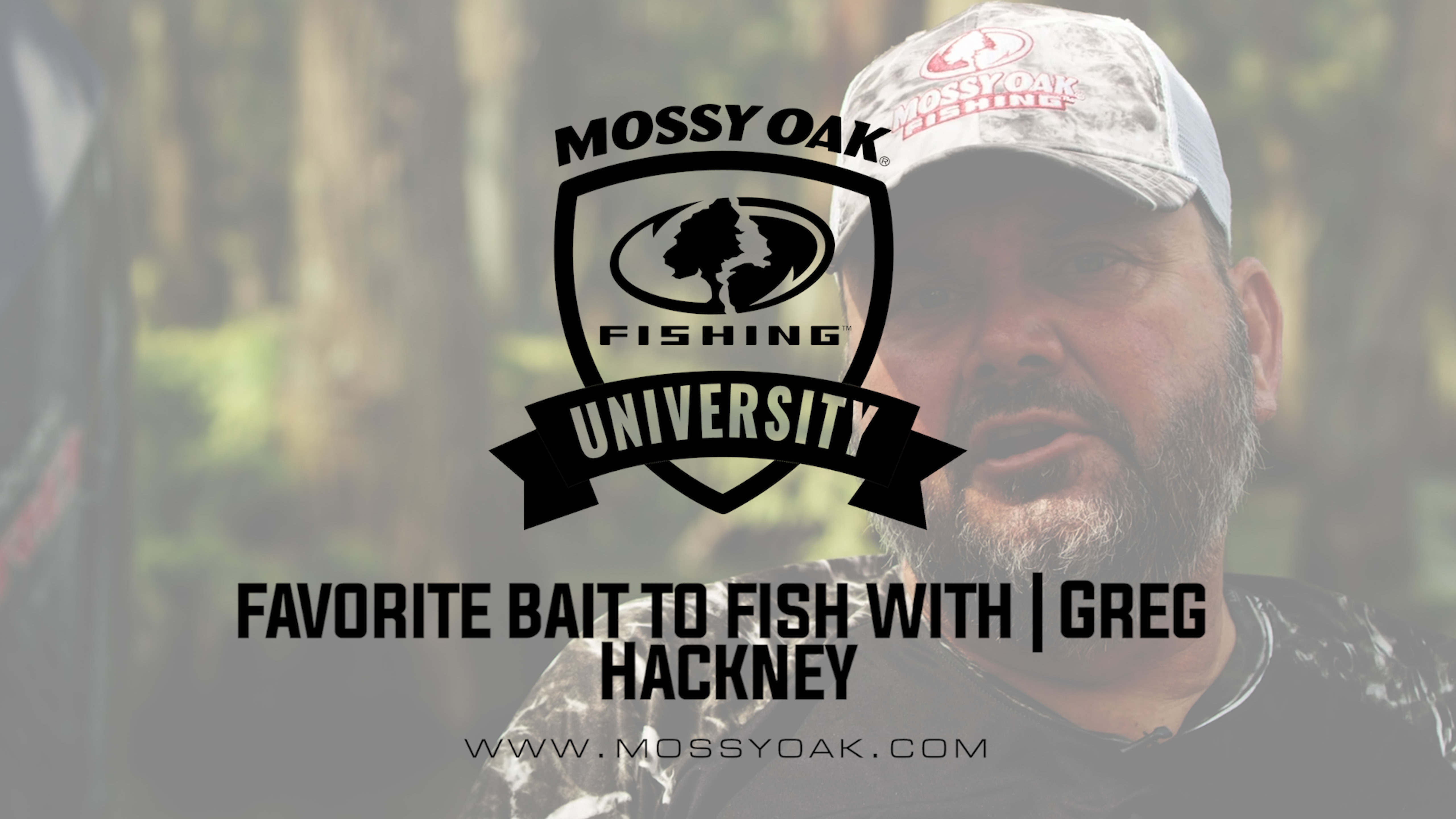 Favorite Bass Fishing Bait - Greg Hackney