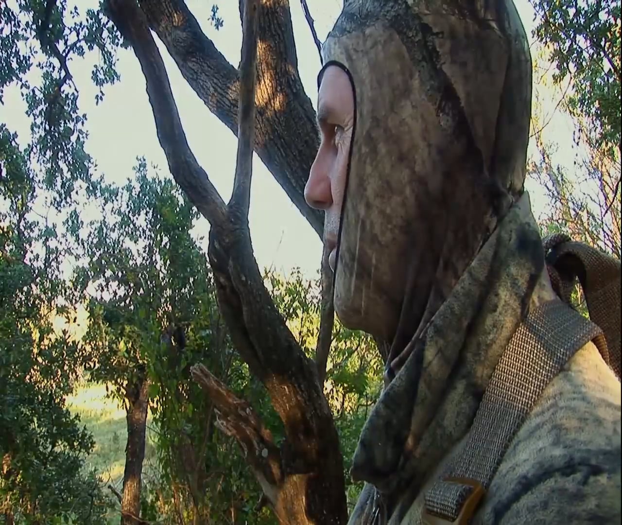 Closing the Deal • Whitetails in Texas