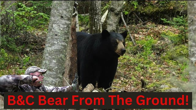 B&C Black Bear From The Ground! • Sto...