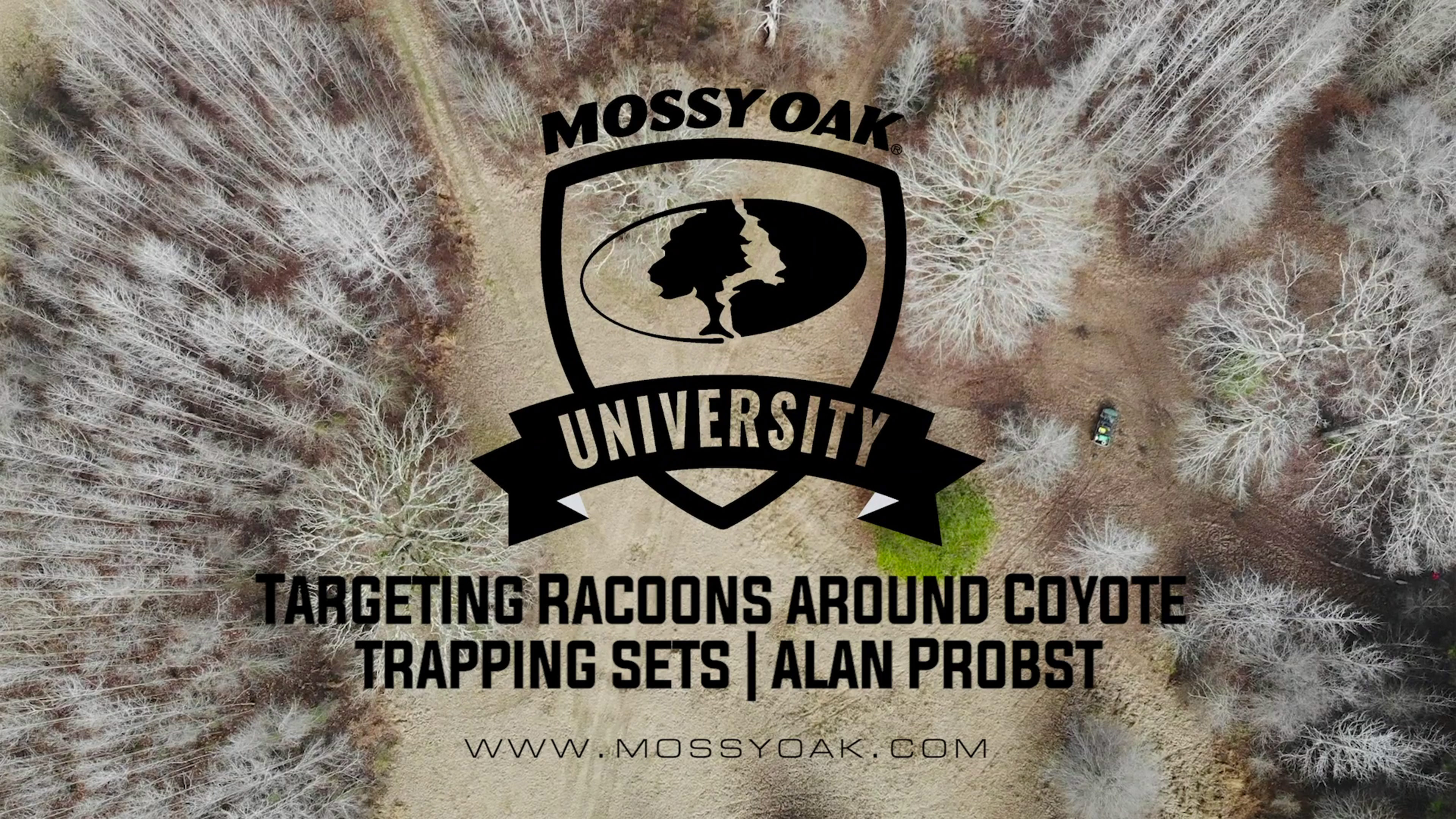 Targeting Raccoons around Coyote Trapping Sets with Alan Probst