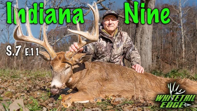 Indiana Nine • Whitetail Edge