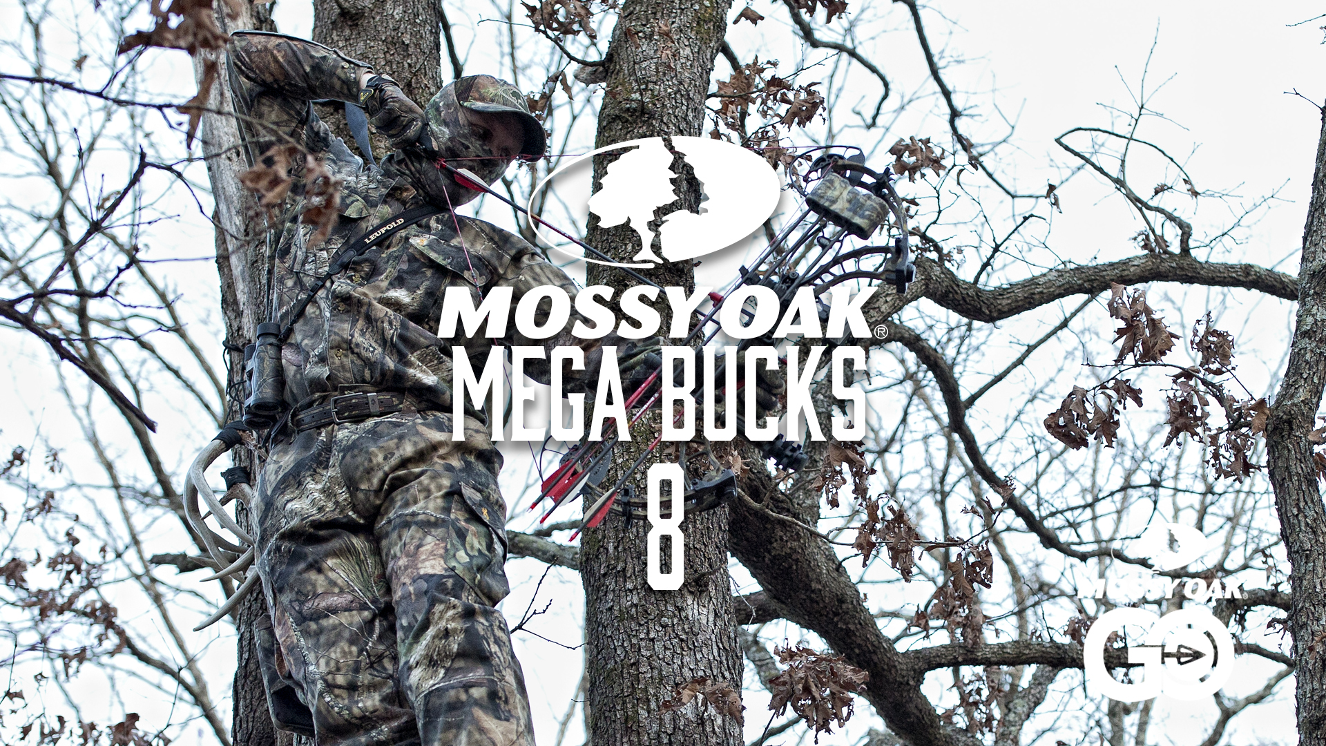 Mega Bucks 8