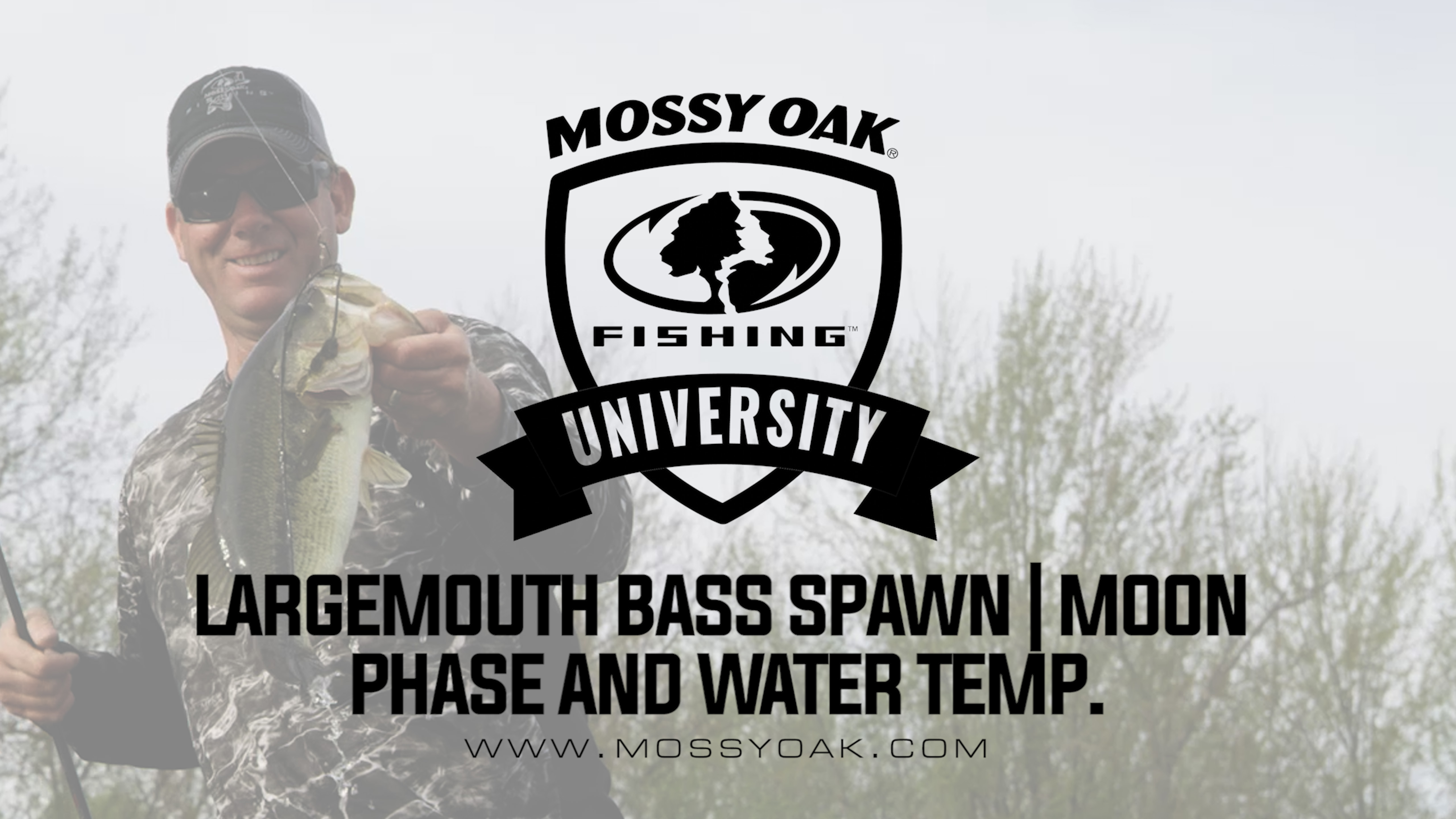 KVD - Largemouth Bass Spawn - Water Temp Moon Phase