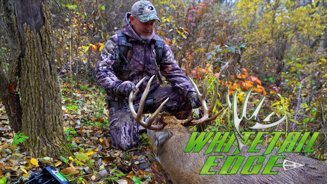 Illinois • Whitetail Edge