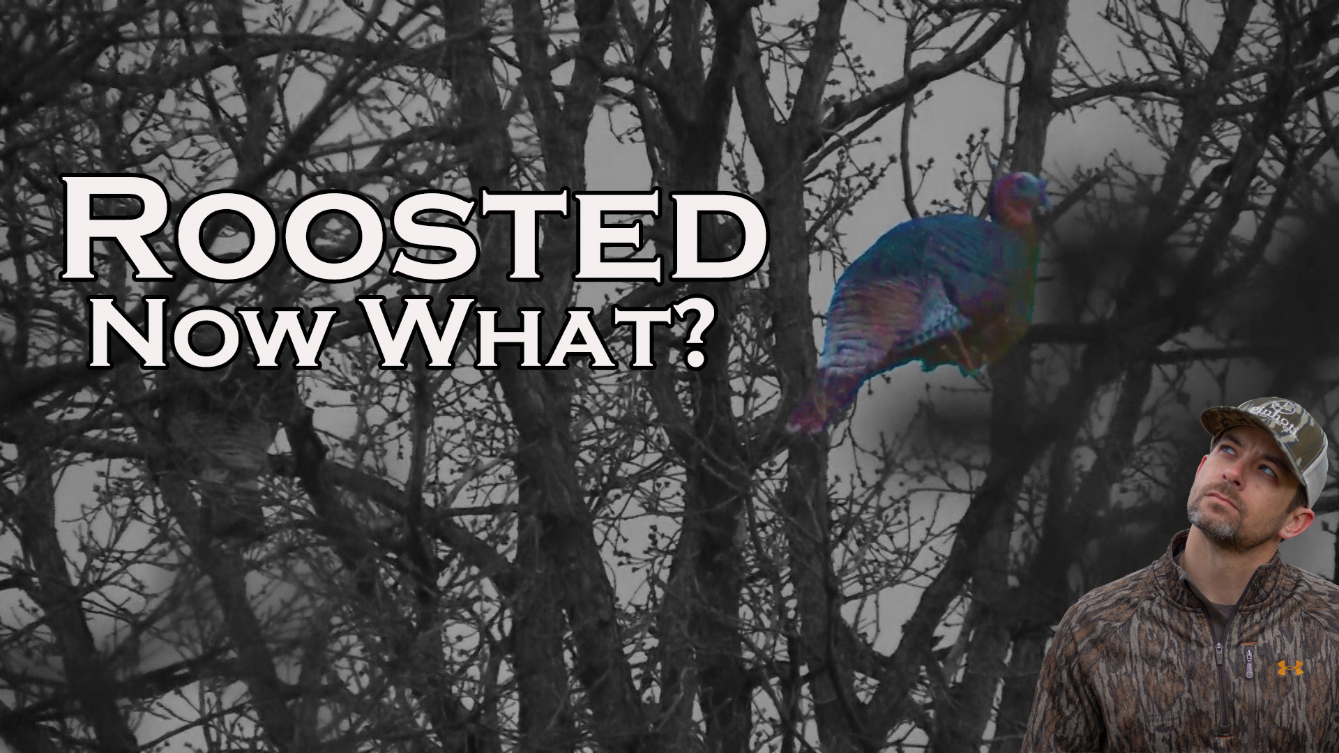 Takeaways • Roosted • Pinhoti Project