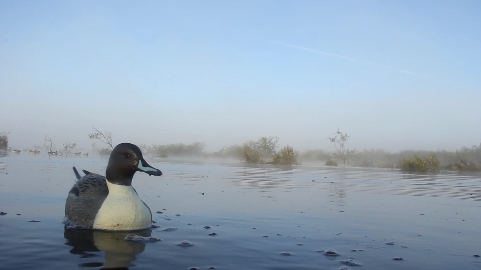 Texas Scramble  • DU TV