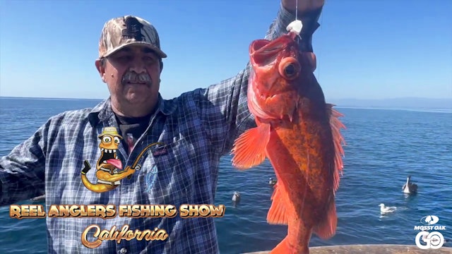 Slice of Paradise Rockfishing and More! • Reel Anglers Fishing Show California