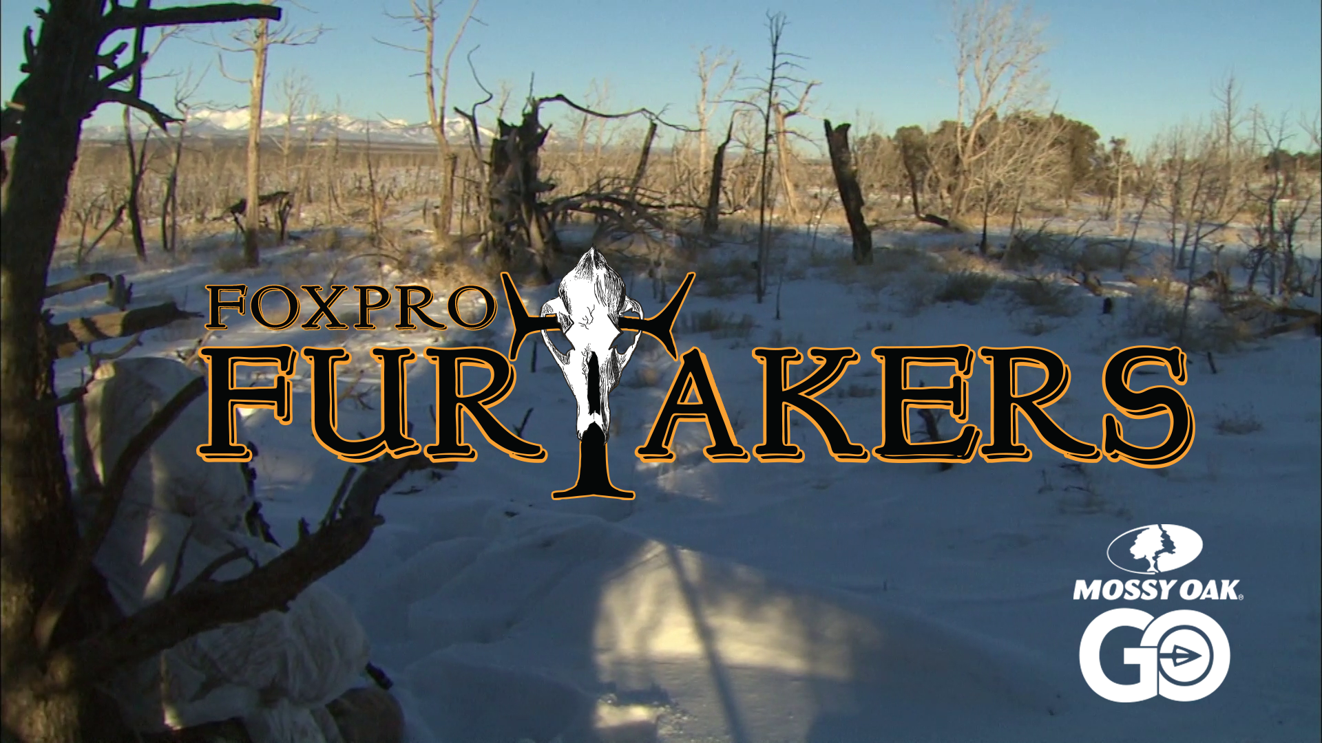FOXPRO 1204 Colorado • Furtakers