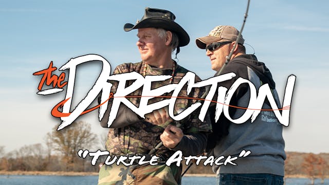 TurtleAttack • The Direction