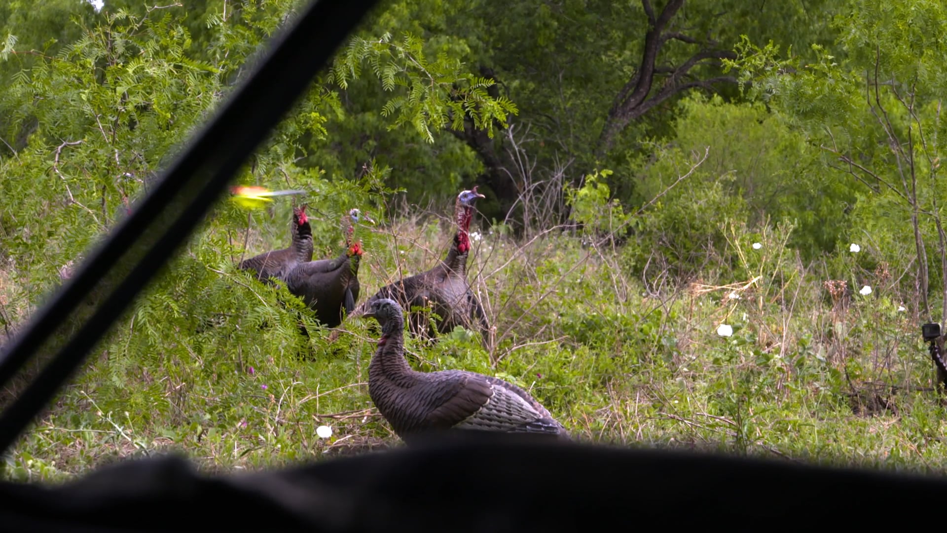 Silver • Tim Wells