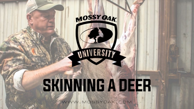 How To Butcher and Process a Deer at Home - Skinning a Deer