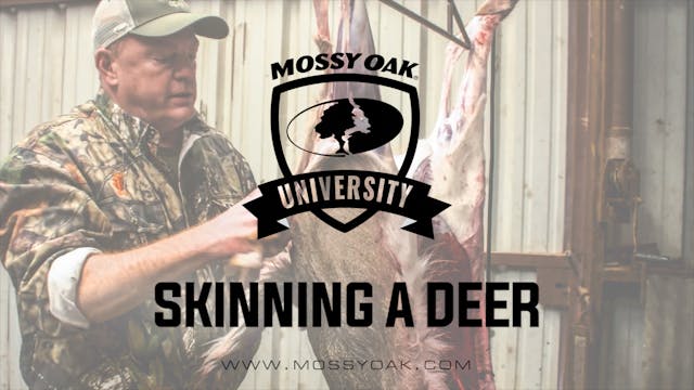 How To Butcher and Process a Deer at ...