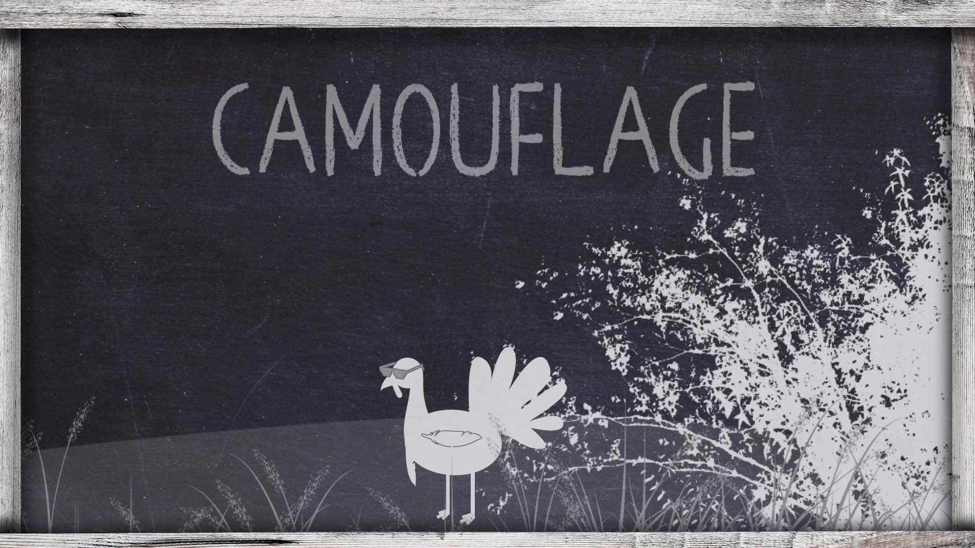 OnX Turkey Academy • Lesson 16 | Camo