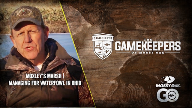 Moxley's Marsh • Managing for Waterfowl in Ohio