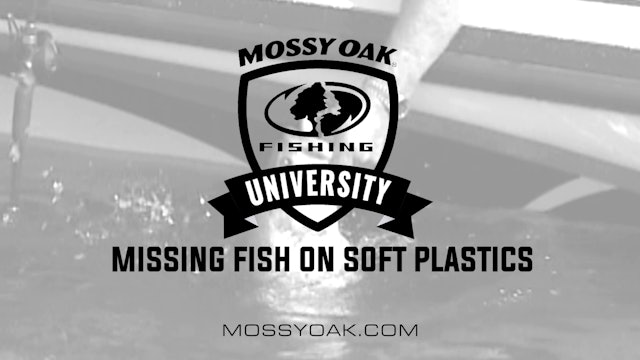 Missing Fish on Soft Plastics • Fishing Tips with Bill Dance